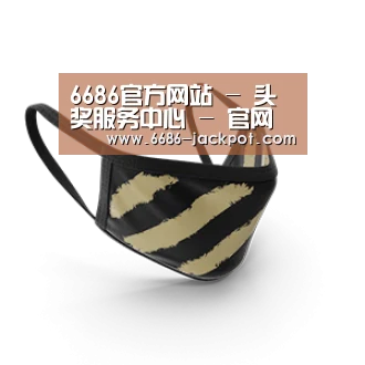 成人布口罩