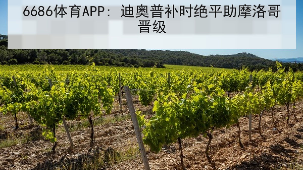 6686体育APP: 迪奥普补时绝平助摩洛哥晋级 6686体育APP: 迪奥普补时绝平助摩洛哥晋级