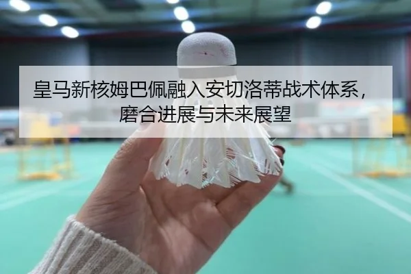 huang-ma-xin-he-mu-ba-pei-rong-ru-an-qie-luo-di-zhan-shu-ti-xi-mo-he-jin-zhan-yu-wei-lai-zhan-wang-2-402.jpg