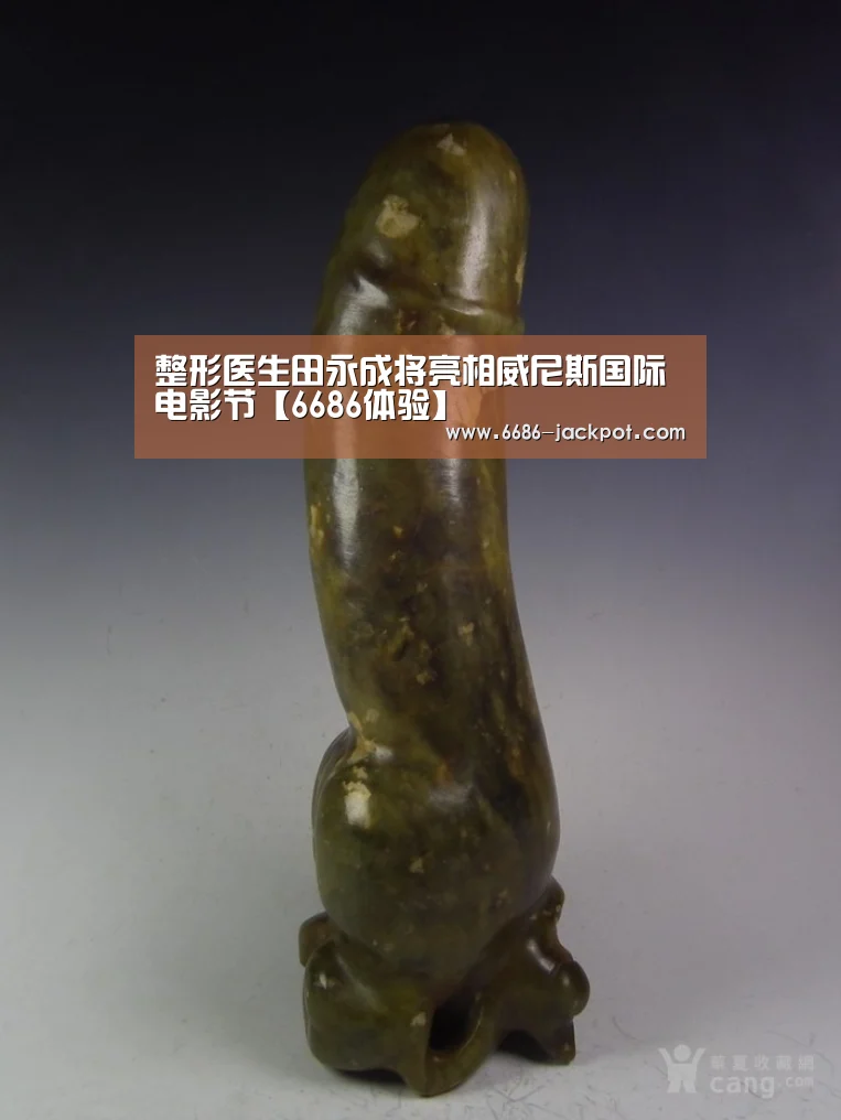6686品牌